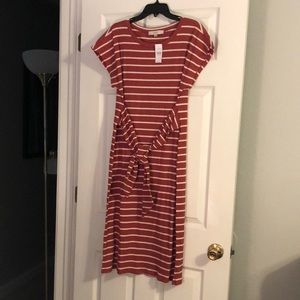 LOFT Tie Waist Knit Dress